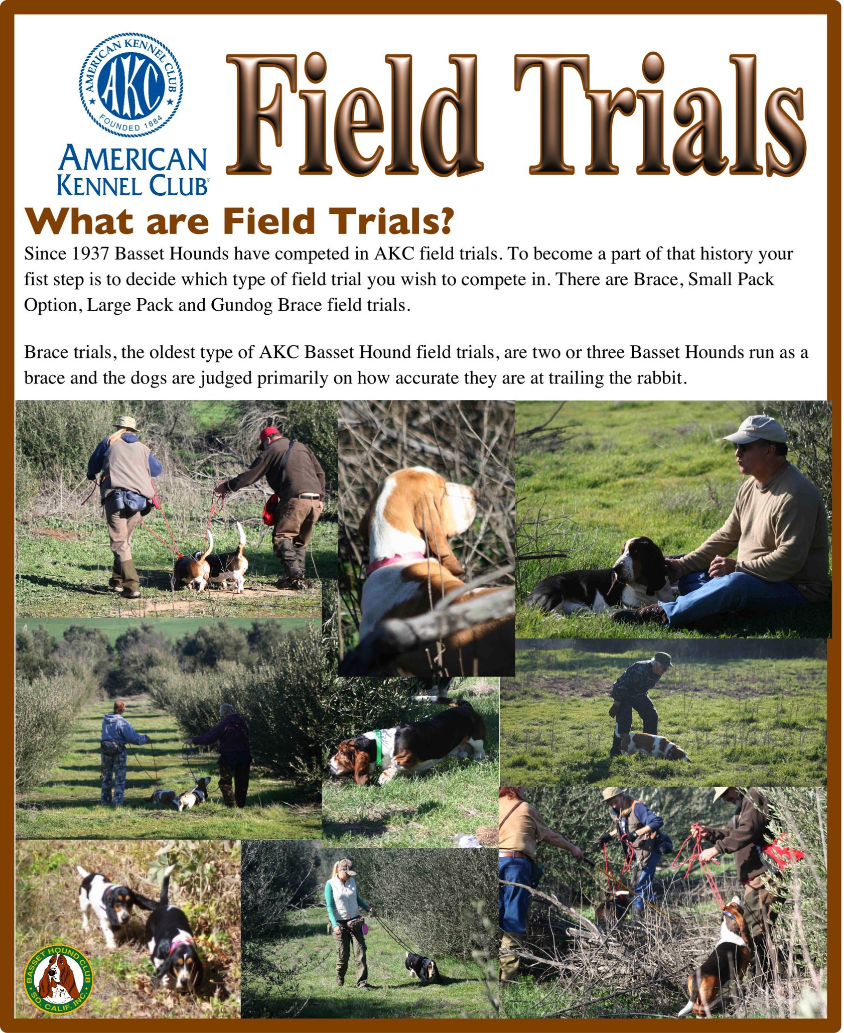 Field Trials Basset Hound Club of Southern California BHCSC